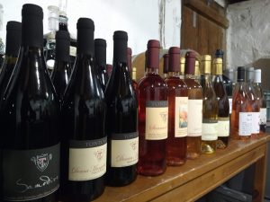 Rosé – vines and grapes