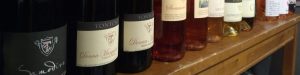 Rosé Vines and Wines
